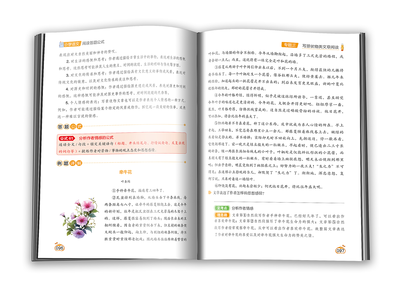 版式设计-教辅书版式设计-小学语文阅读答题公式（图ZMzc1MDIwMTQ0） - 书籍/画册 - 站酷设计师向沂设计原创素材 - 站酷ZCOOL