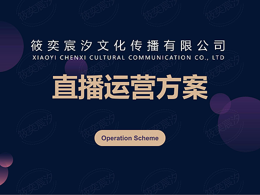 PPT-直播运营方案