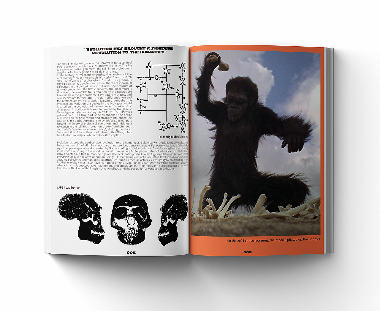 书籍排版及装置艺术|仿生人会梦到电子羊