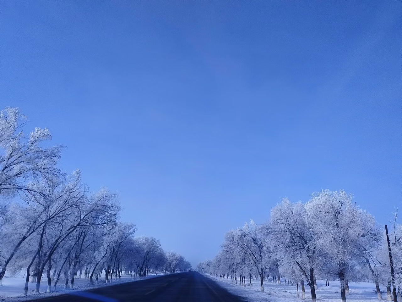 雪（图ZMzc1MDY0ODky） - 风光摄影 - 站酷设计师刀文521原创素材 - 站酷ZCOOL