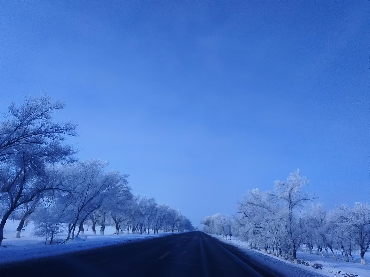 雪（圖ZMzc1MDY0ODgw） - 風(fēng)光攝影 - 站酷設(shè)計(jì)師刀文521原創(chuàng)素材 - 站酷ZCOOL