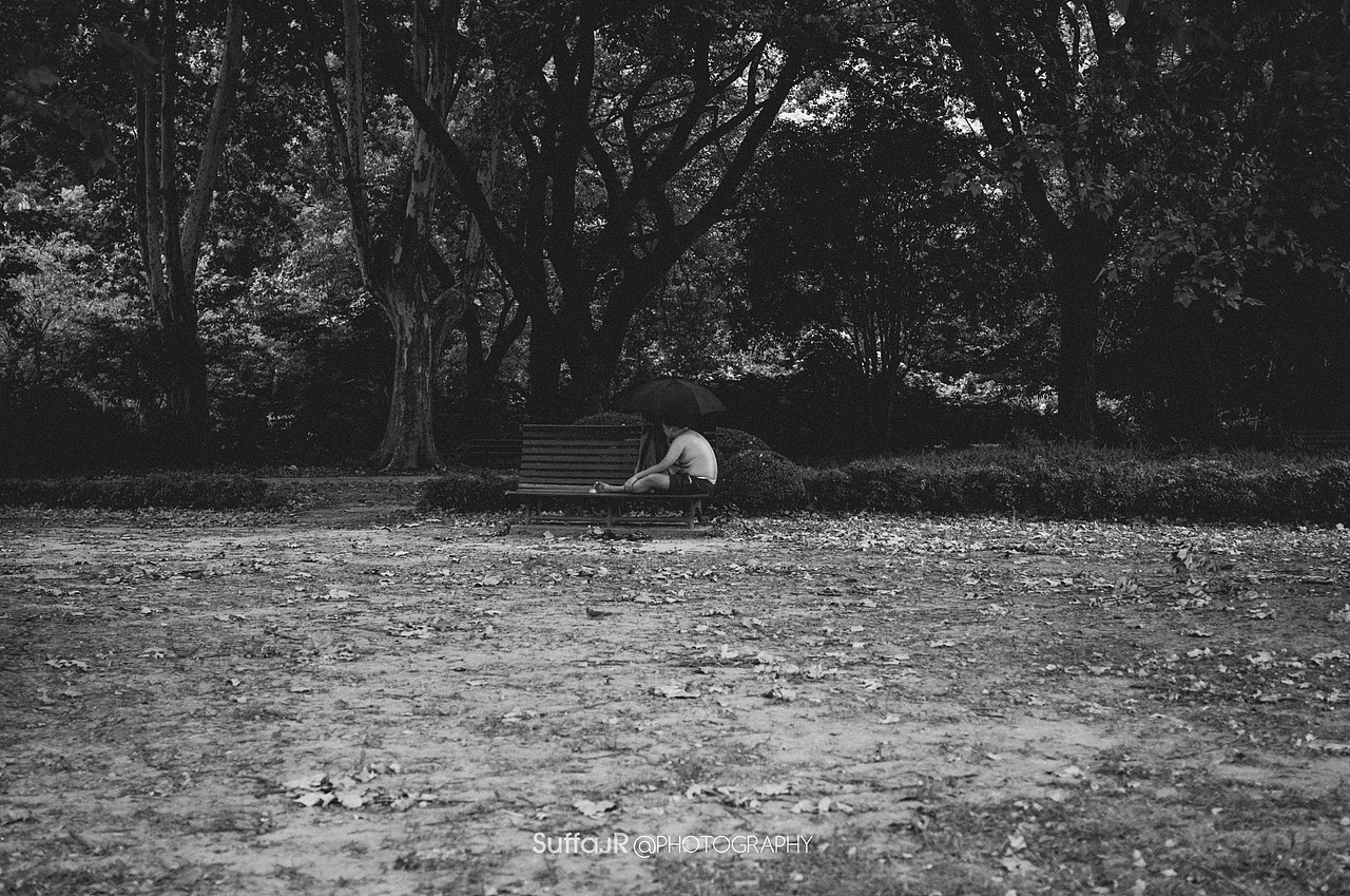 StreetSnap X 绿色森林