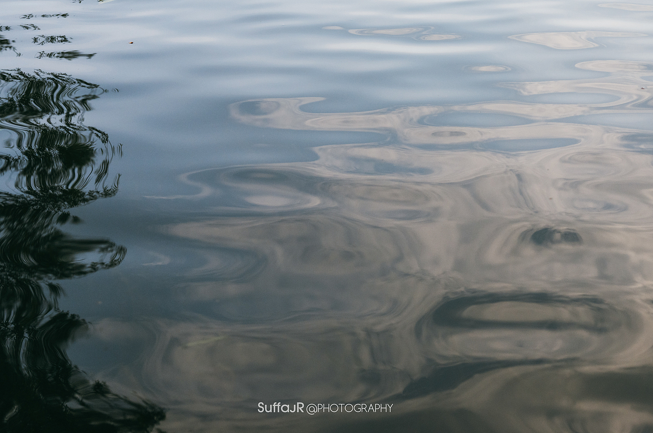 StreetSnap X 绿色森林