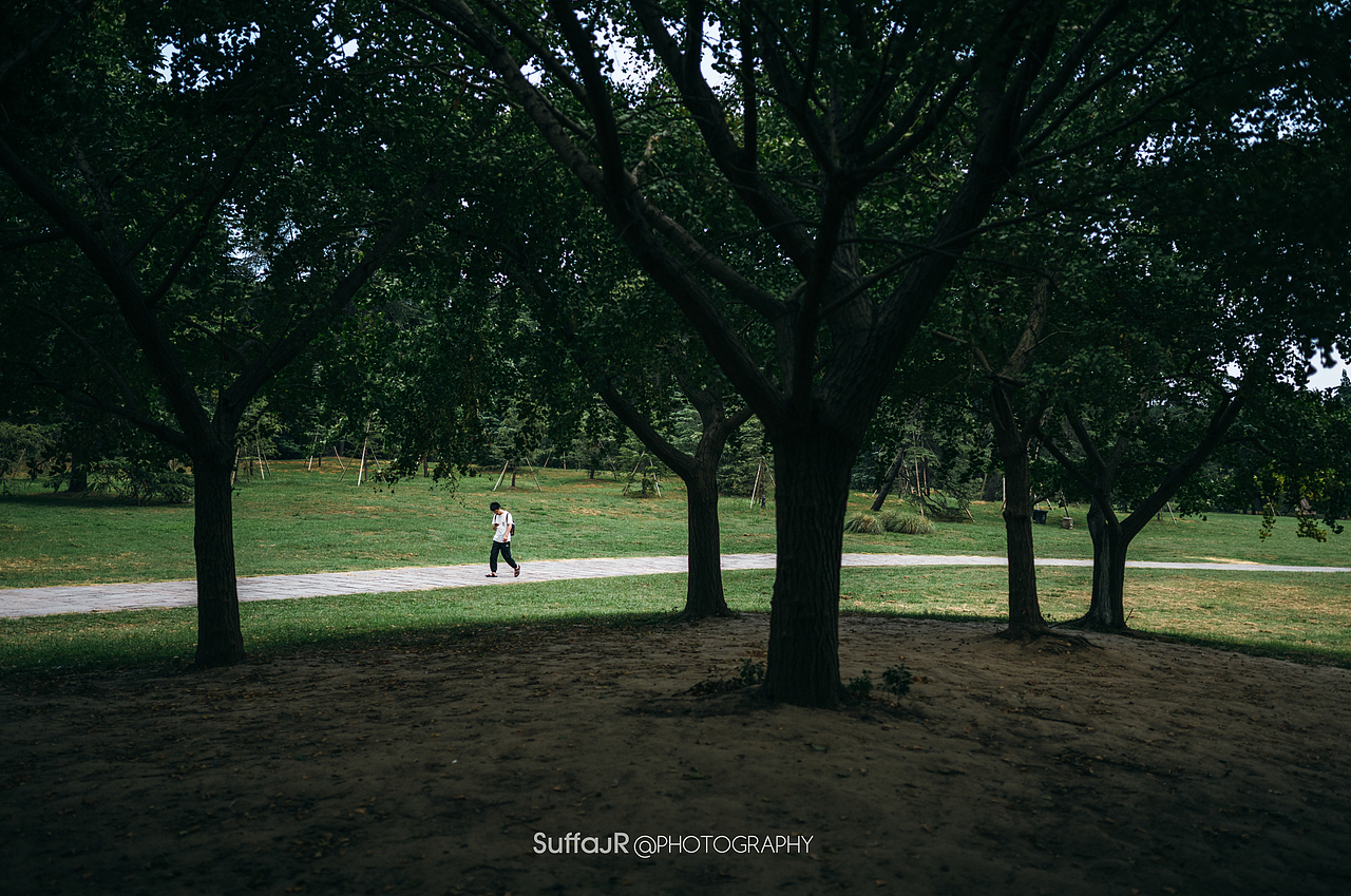 StreetSnap X 绿色森林