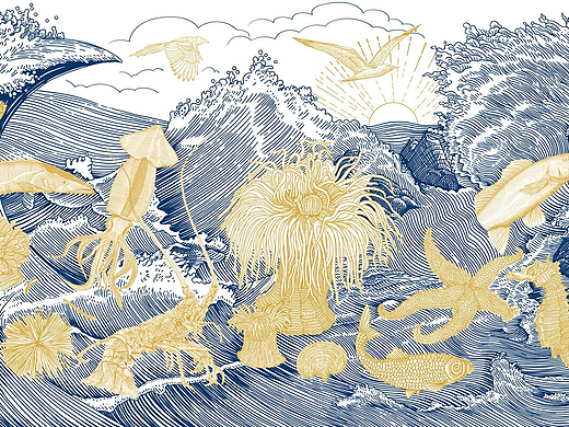 螃蟹海鱼海马海鲜世界版画/农产品海鲜包装插画设计