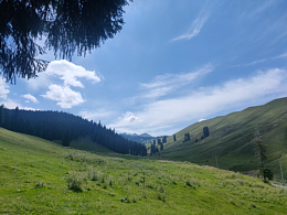 新疆随手一拍都是美景