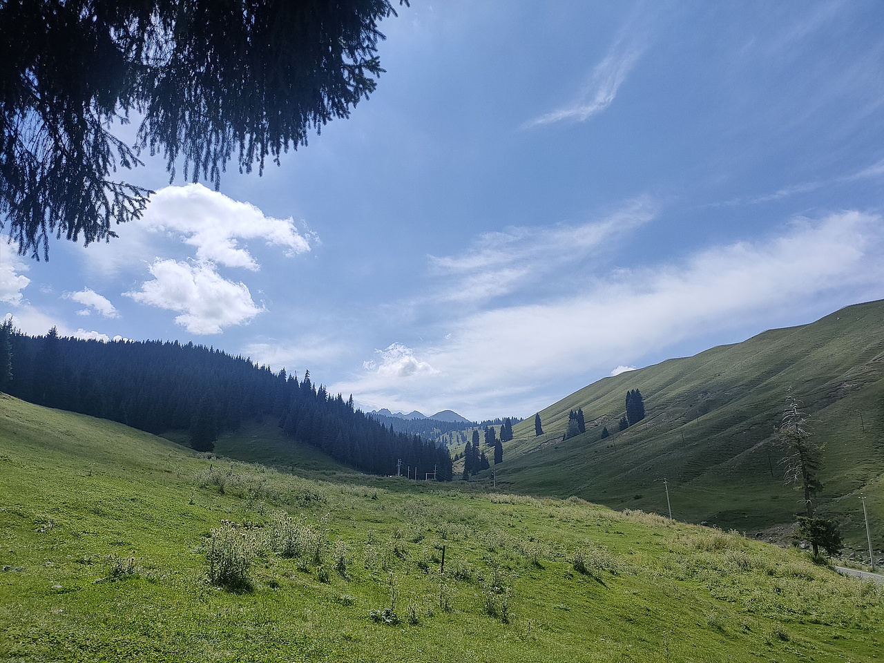 新疆随手一拍都是美景