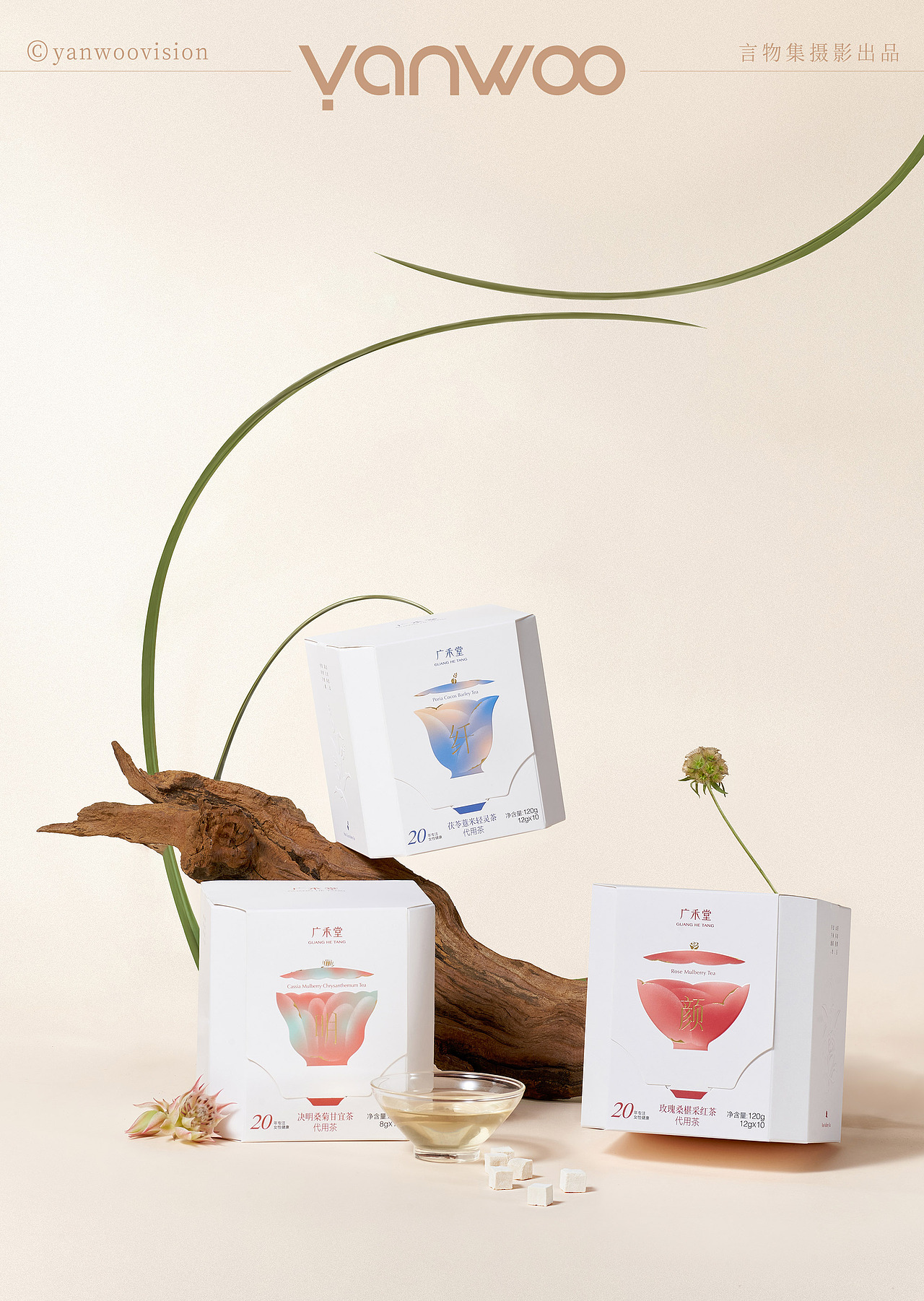 言物集 X 广禾堂 | 养生花茶品牌调性鲜花场景产品拍摄