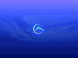 网站启动页/loading