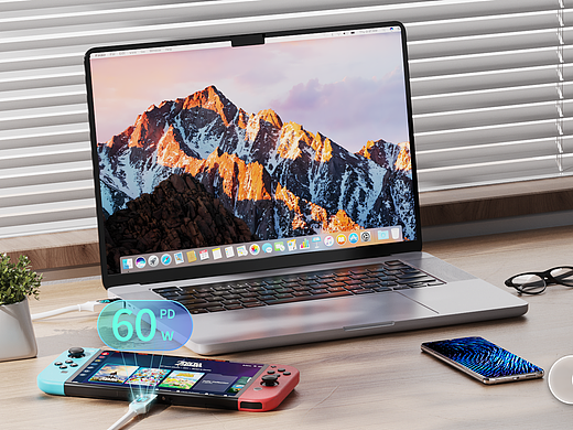 ECHOHAUS线材亚马逊视觉