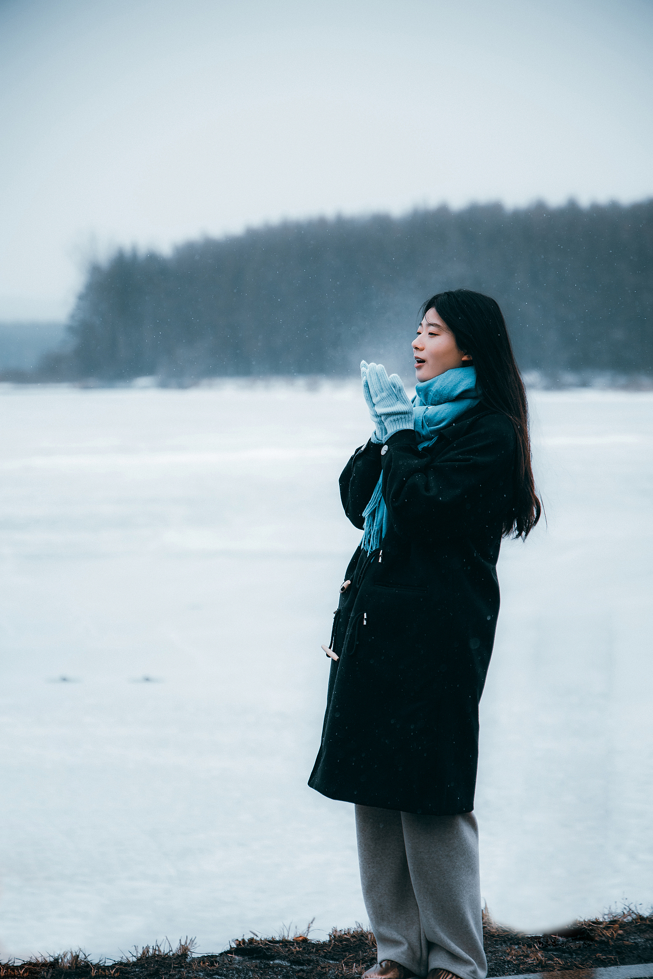 风花雪月——雪