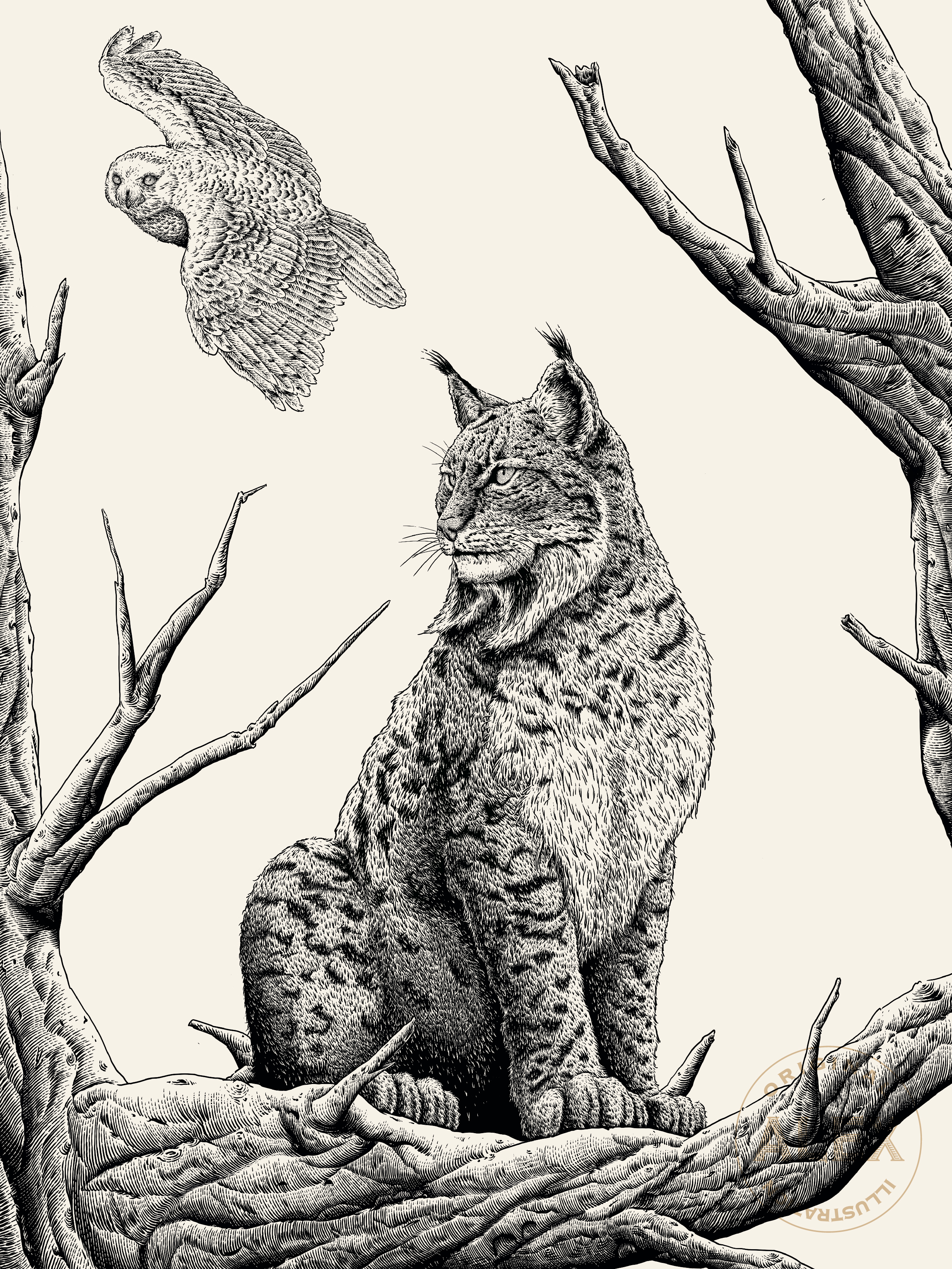 花椒的Alex：用简单构建繁复（图ZMTQ4Nzc0NzY=） - 观点 - 站酷设计师站酷专访原创素材 - 站酷ZCOOL