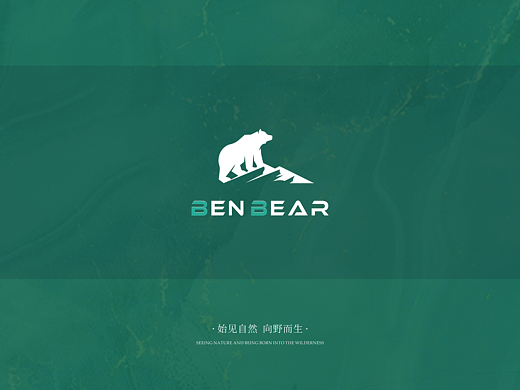 品牌全案设计 VI设计 品牌设计 logo 视觉设计