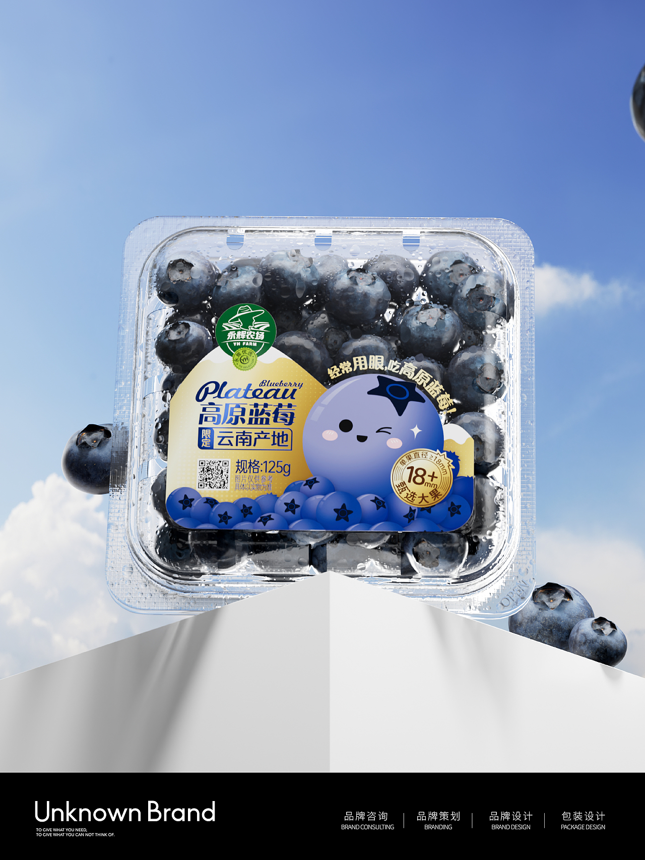 包装设计｜高原蓝莓系列包装设计（图ZMzc1MjQ2NzA0） - 包装 - 站酷设计师不之名品牌事务所原创素材 - 站酷ZCOOL