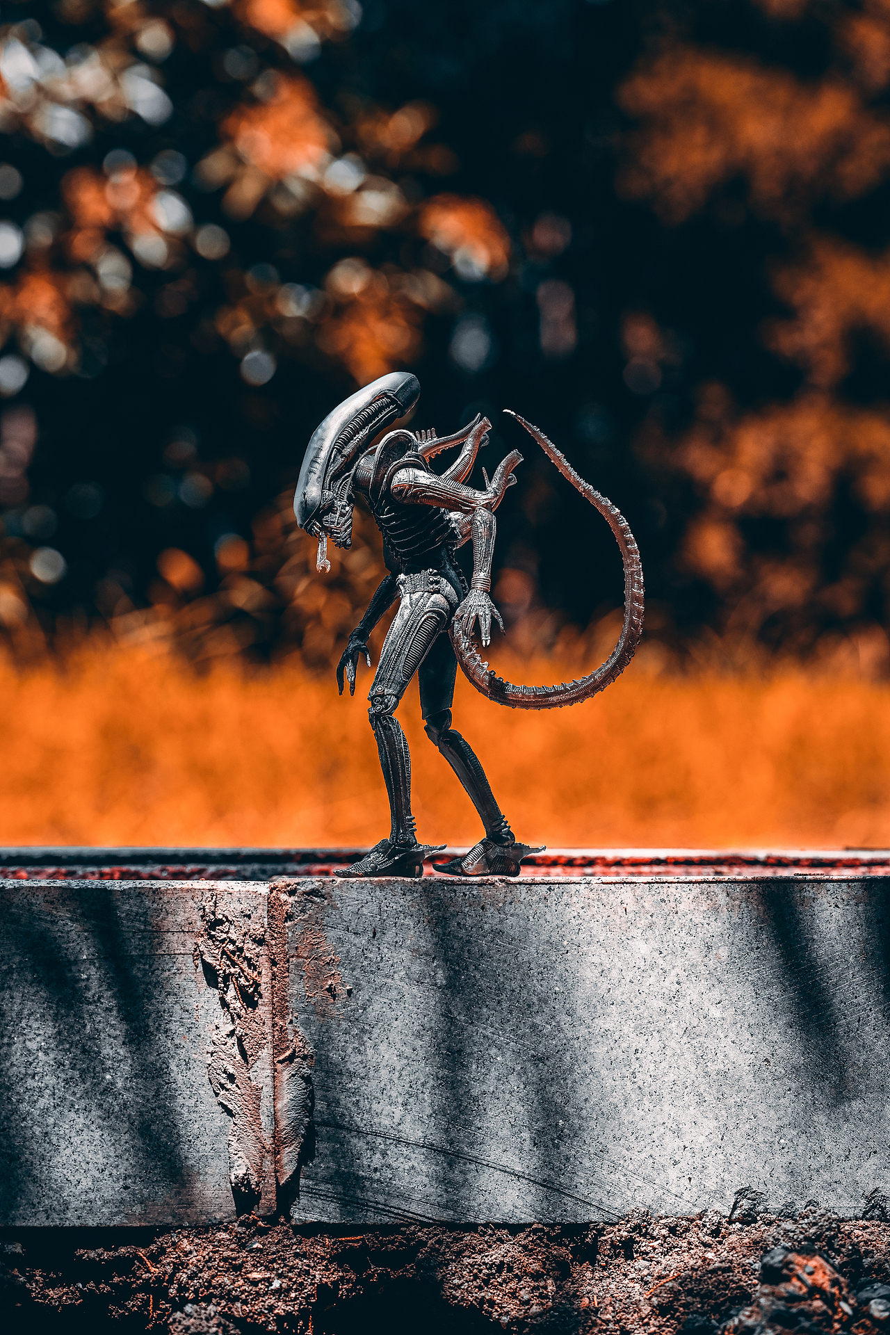 拍摄一组异形&宇航员（图ZMzc1MjYyMjM2） - 其他摄影 - 站酷设计师luciferbeck原创素材 - 站酷ZCOOL