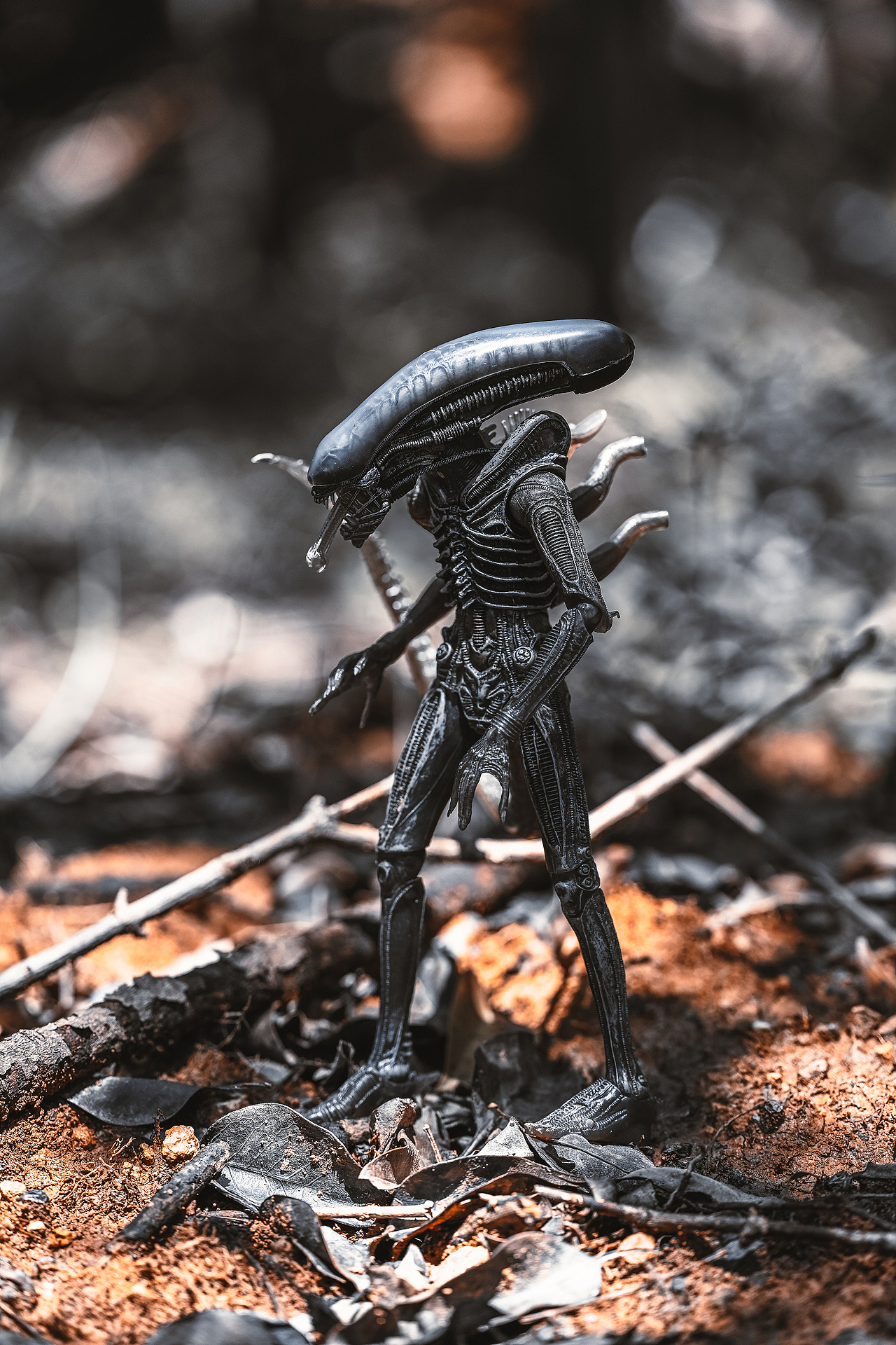 拍摄一组异形&宇航员（图ZMzc1MjYyMjI0） - 其他摄影 - 站酷设计师luciferbeck原创素材 - 站酷ZCOOL