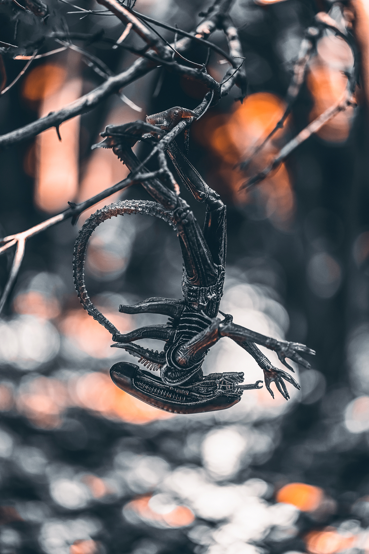 拍摄一组异形&宇航员（图ZMzc1MjYyMjI4） - 其他摄影 - 站酷设计师luciferbeck原创素材 - 站酷ZCOOL