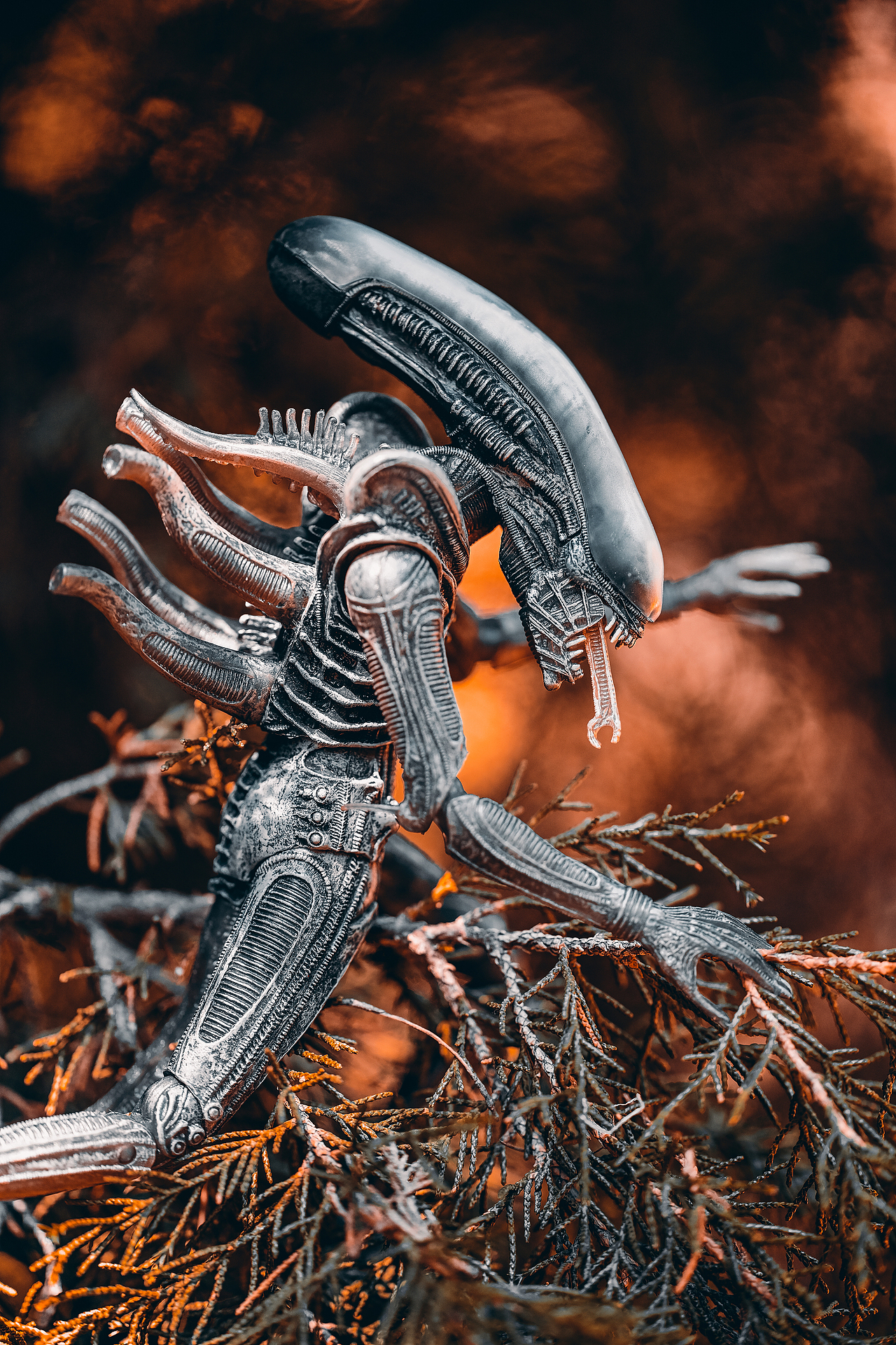 拍摄一组异形&宇航员（图ZMzc1MjYyMjE2） - 其他摄影 - 站酷设计师luciferbeck原创素材 - 站酷ZCOOL