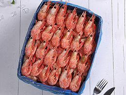 丹麦北极冰虾拍摄