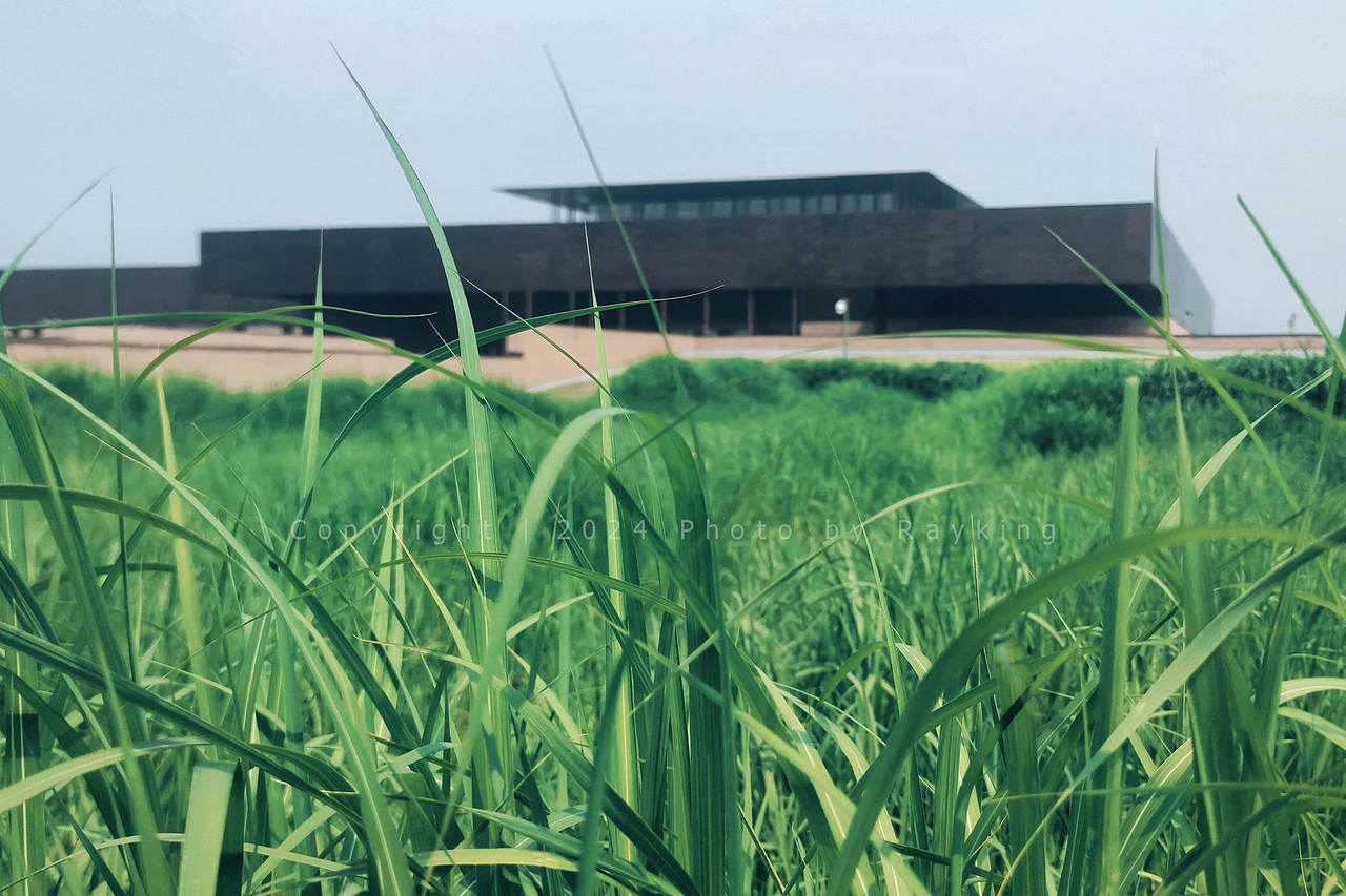 二里头遗址|大象无形,探寻最早的中国(图ZMzc1MjgxNDgw) - 环境/建筑摄影 - 站酷设计师金钻子原创素材 - 站酷ZCOOL