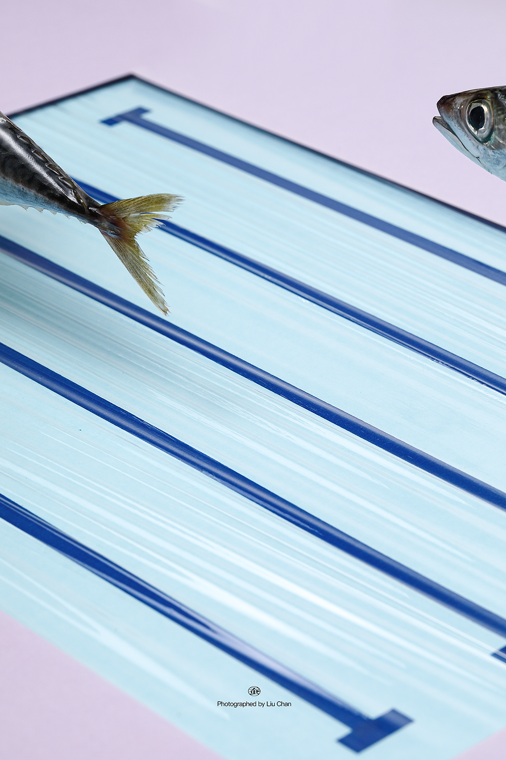 厨房里的种子选手（图ZMzc1MjkzNzAw） - 美食摄影 - 站酷设计师阿蚕原创素材 - 站酷ZCOOL