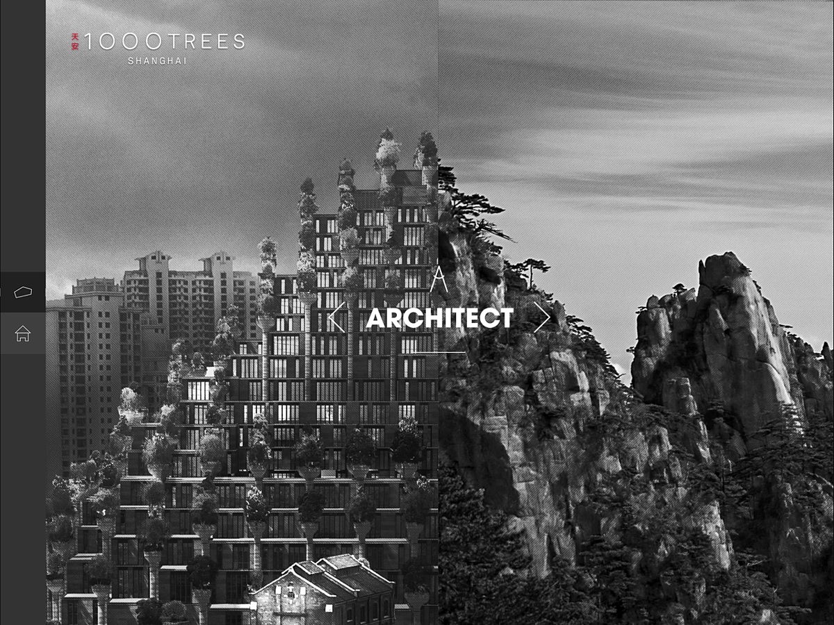 公司往期项目简介(地产类)