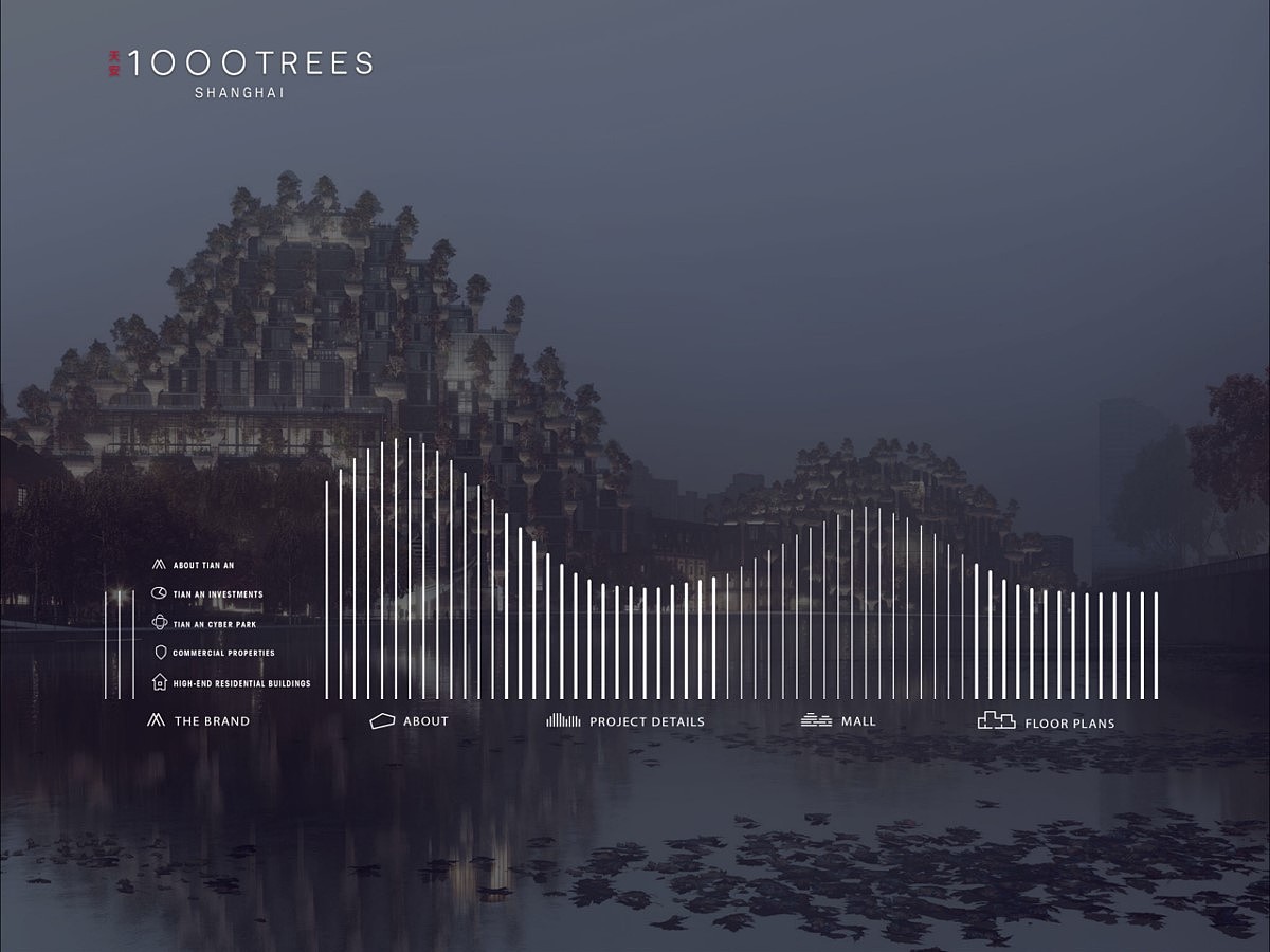 公司往期项目简介(地产类)