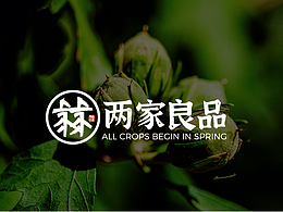 两家子镇品牌VI设计