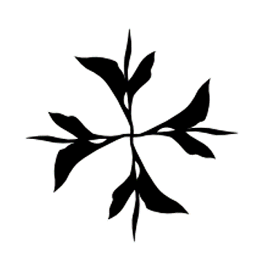 恒印·古树茶茶空间设计(图ZMzc1MzI1Njcy) - 商业空间设计 - 站酷设计师石川设计事务所原创素材 - 站酷ZCOOL