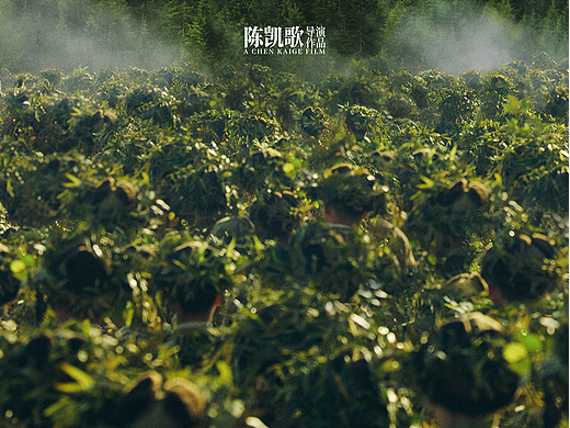 电影《志愿军》海报