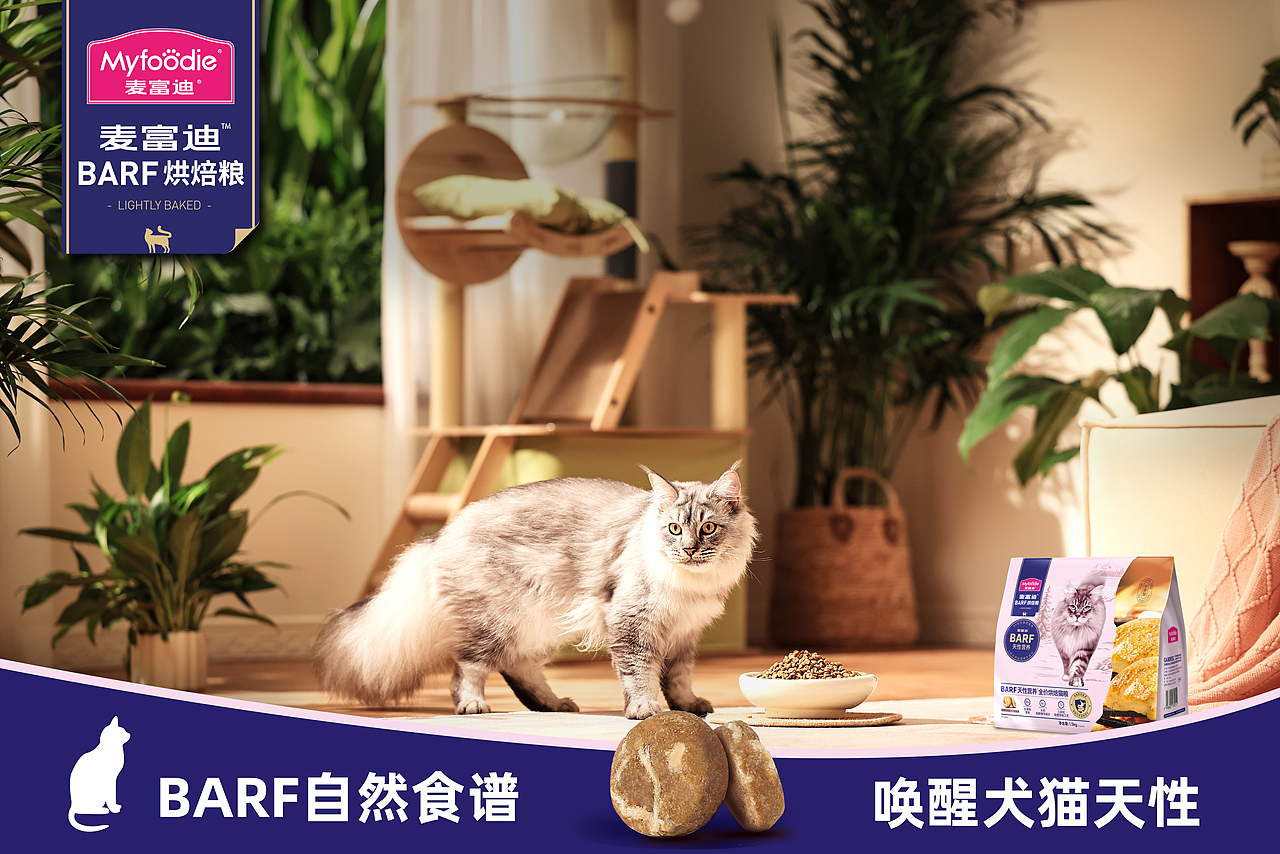 宠物食品摄影-麦富迪霸弗烘焙粮（图ZMzc1MzUzMTgw） - 宠物摄影 - 站酷设计师好兄弟传媒原创素材 - 站酷ZCOOL