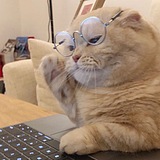 章鱼共和的头像