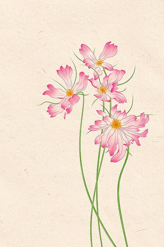 草花（图ZMzc1MzgzNTg4） - 商业插画 - 站酷设计师禾小he原创素材 - 站酷ZCOOL