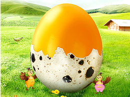 賢哥鵪鶉蛋詳情頁(yè)設(shè)計(jì)