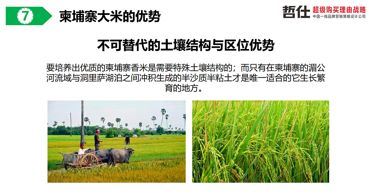 大米|品牌策划|农产品|VI设计|品牌营销|品牌全案设计(图ZMzc1NDEwNTAw) - 品牌 - 站酷设计师品牌战略VI设计原创素材 - 站酷ZCOOL
