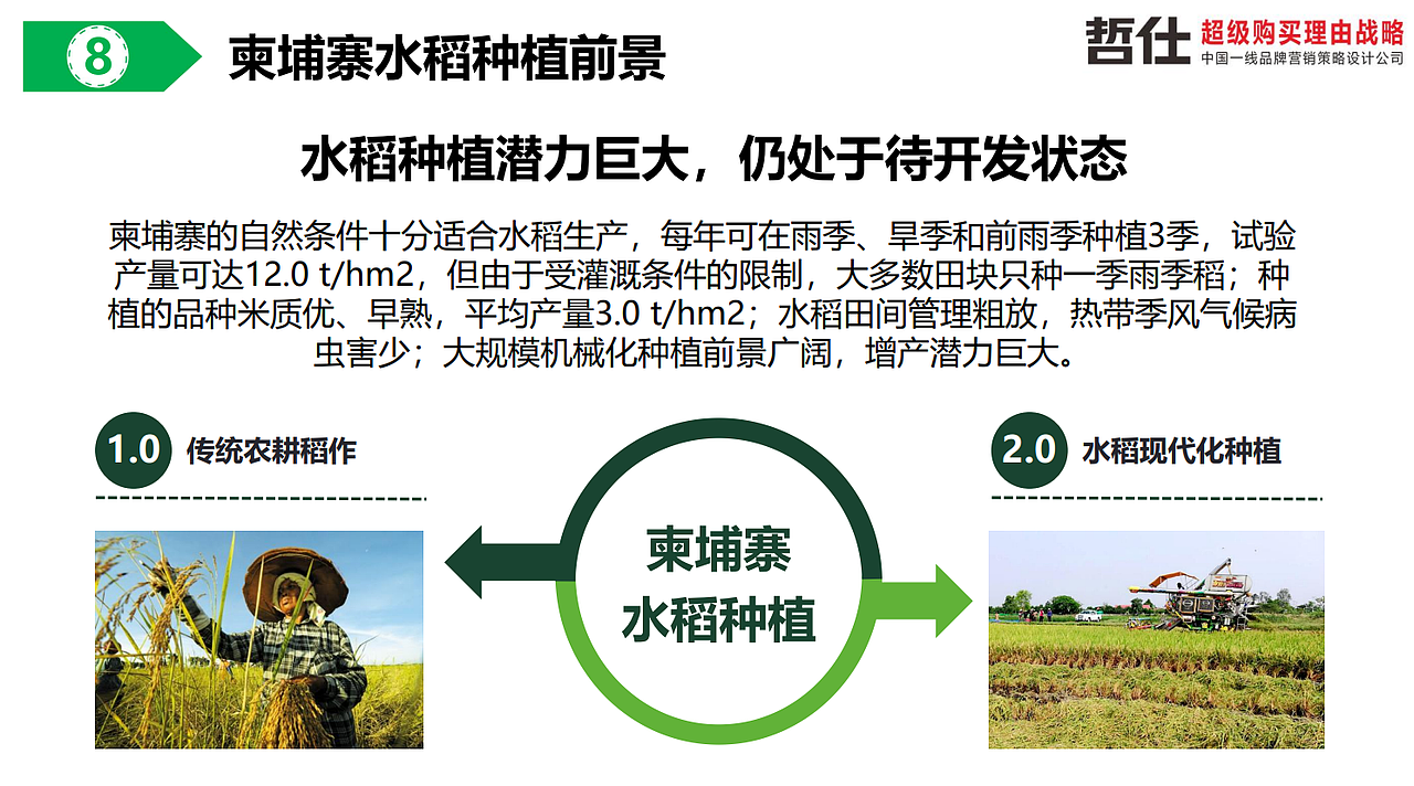 大米|品牌策划|农产品|VI设计|品牌营销|品牌全案设计(图ZMzc1NDEwNTA0) - 品牌 - 站酷设计师品牌战略VI设计原创素材 - 站酷ZCOOL