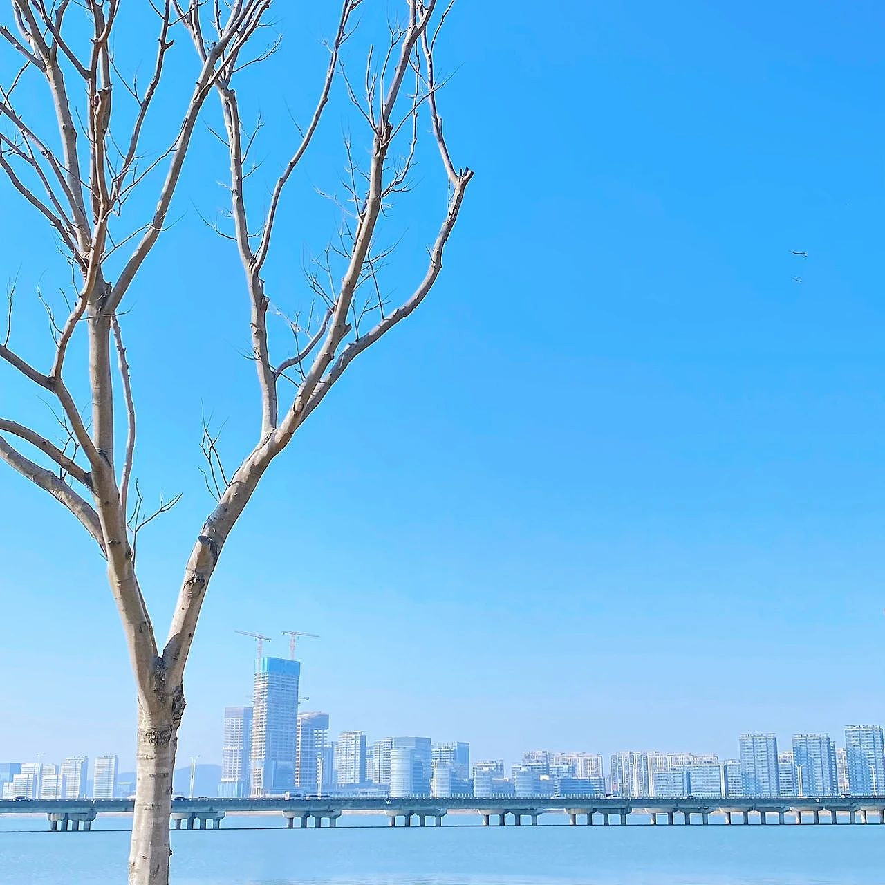 吴江另一个公园