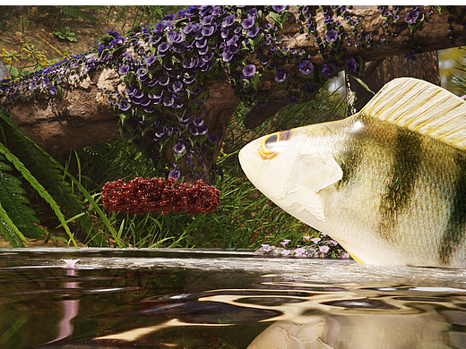 blender《鱼逐蚁潮》