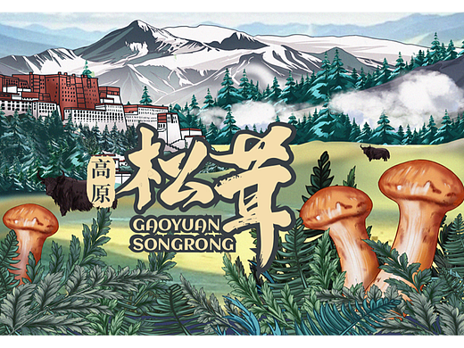 松茸包装