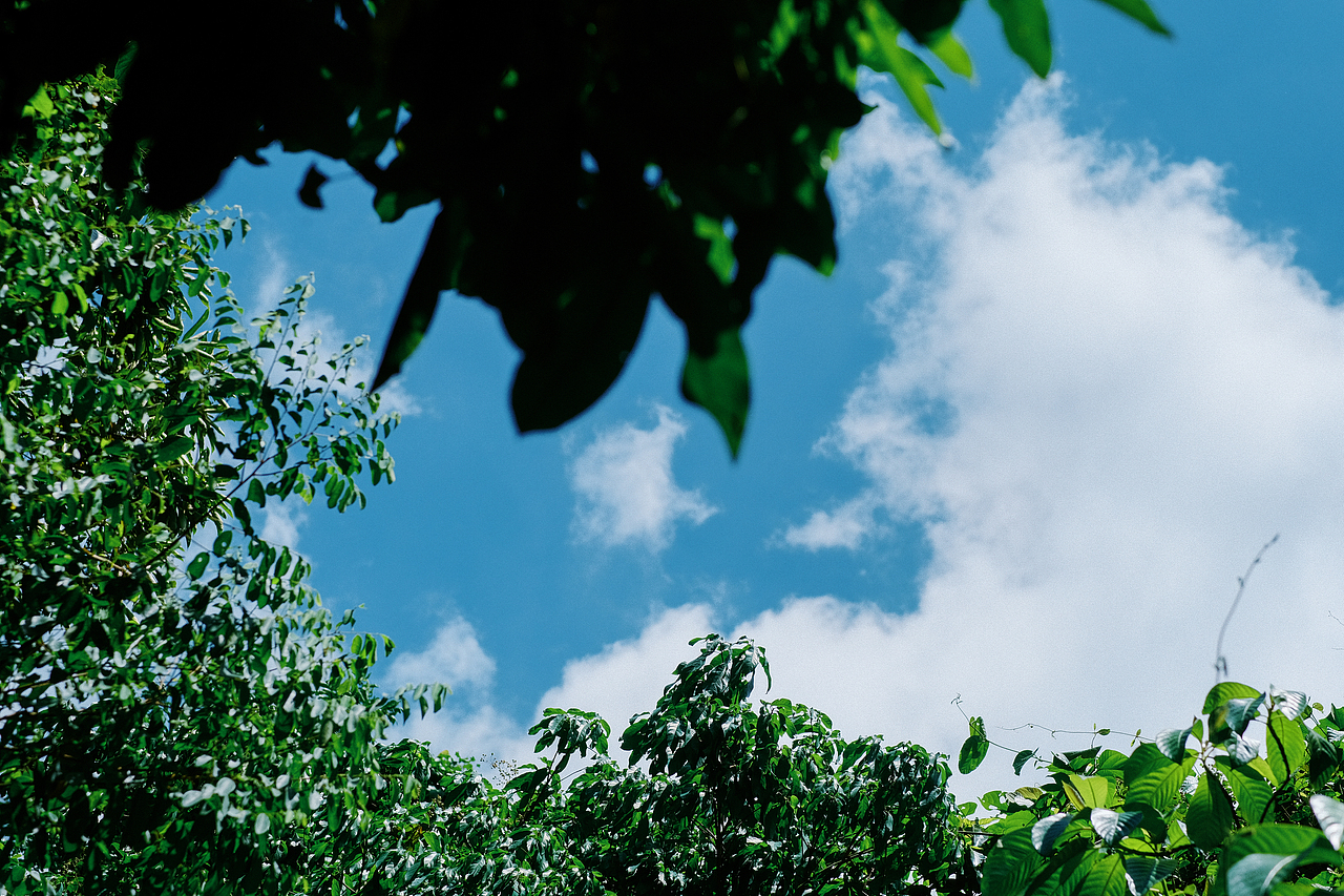 夏日午后的阳光最是耀眼（图ZMzc1NDc1MDUy） - 人像摄影 - 站酷设计师玩摄影的安生原创素材 - 站酷ZCOOL