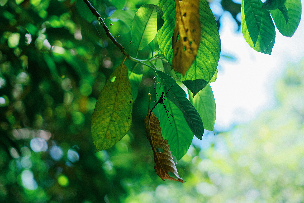 夏日午后的阳光最是耀眼（图ZMzc1NDc1MTQ4） - 人像摄影 - 站酷设计师玩摄影的安生原创素材 - 站酷ZCOOL
