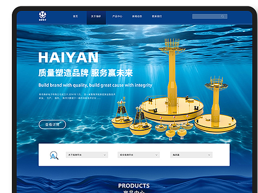 公司官网网站设计UI