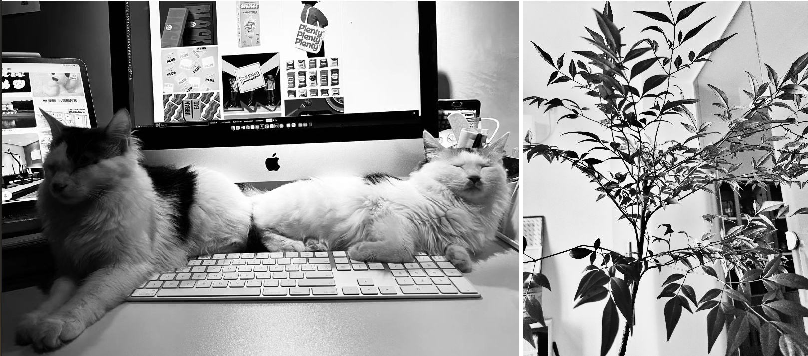 意思品牌Evanyang的個(gè)人主頁（封面預(yù)覽） - 主頁封面設(shè)置 - 站酷設(shè)計(jì)師意思品牌Evanyang原創(chuàng)素材 - 站酷ZCOOL