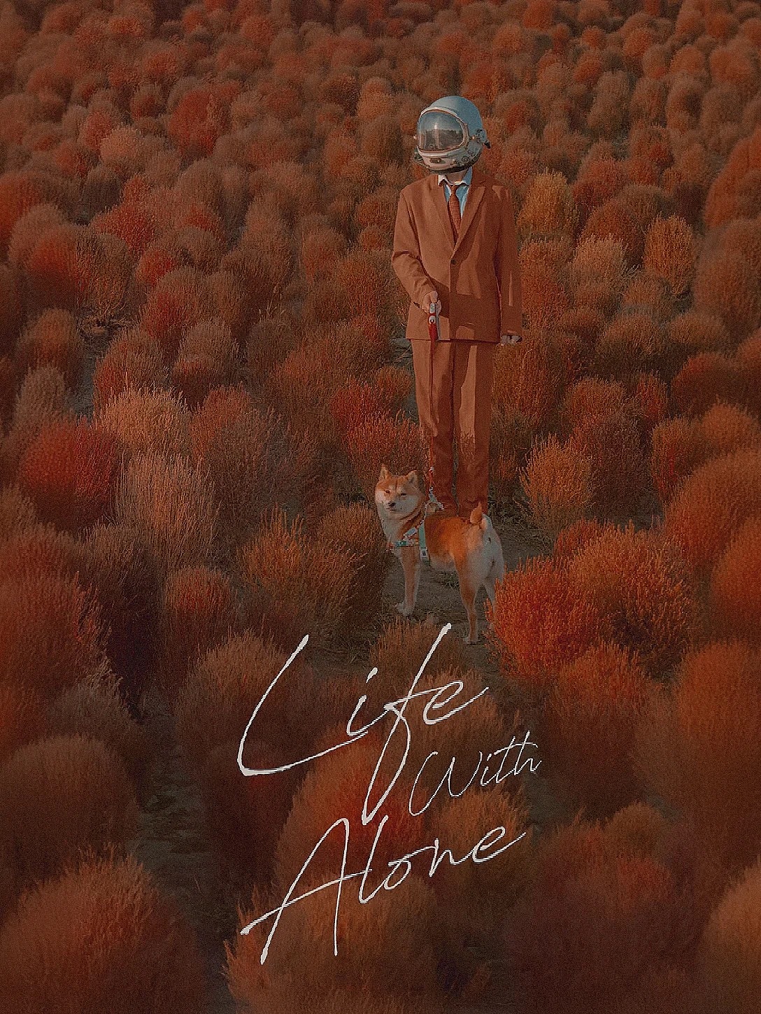 《Life with Alone》可灵AI视频创作大赛三等奖作品