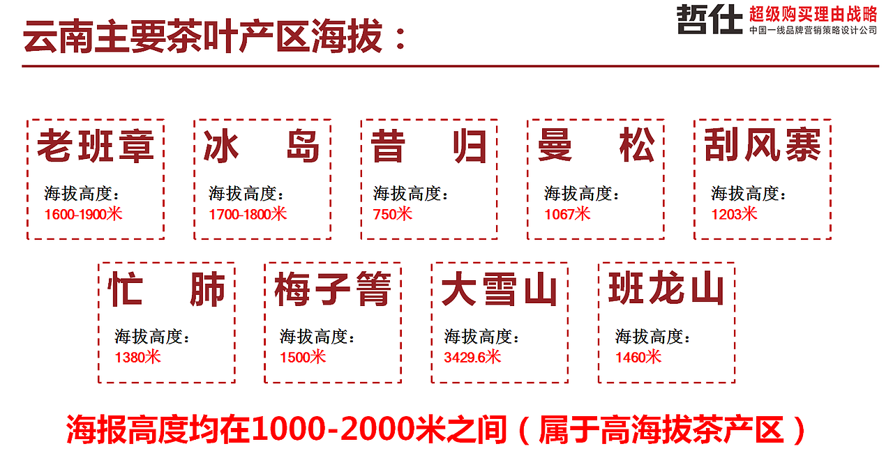 高林雀 # 哲仕原创|茶叶品牌策划 品牌VI 品牌全案设计（图ZMzc1NTQwNjQ0） - 品牌 - 站酷设计师品牌战略VI设计原创素材 - 站酷ZCOOL