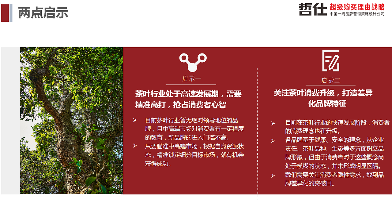 高林雀 # 哲仕原创|茶叶品牌策划 品牌VI 品牌全案设计（图ZMzc1NTQwNzU2） - 品牌 - 站酷设计师品牌战略VI设计原创素材 - 站酷ZCOOL
