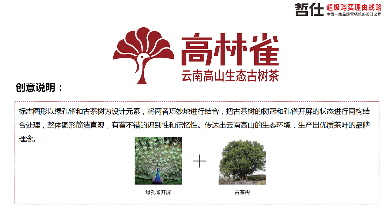 高林雀 # 哲仕原创|茶叶品牌策划 品牌VI 品牌全案设计（图ZMzc1NTQwODU2） - 品牌 - 站酷设计师品牌战略VI设计原创素材 - 站酷ZCOOL