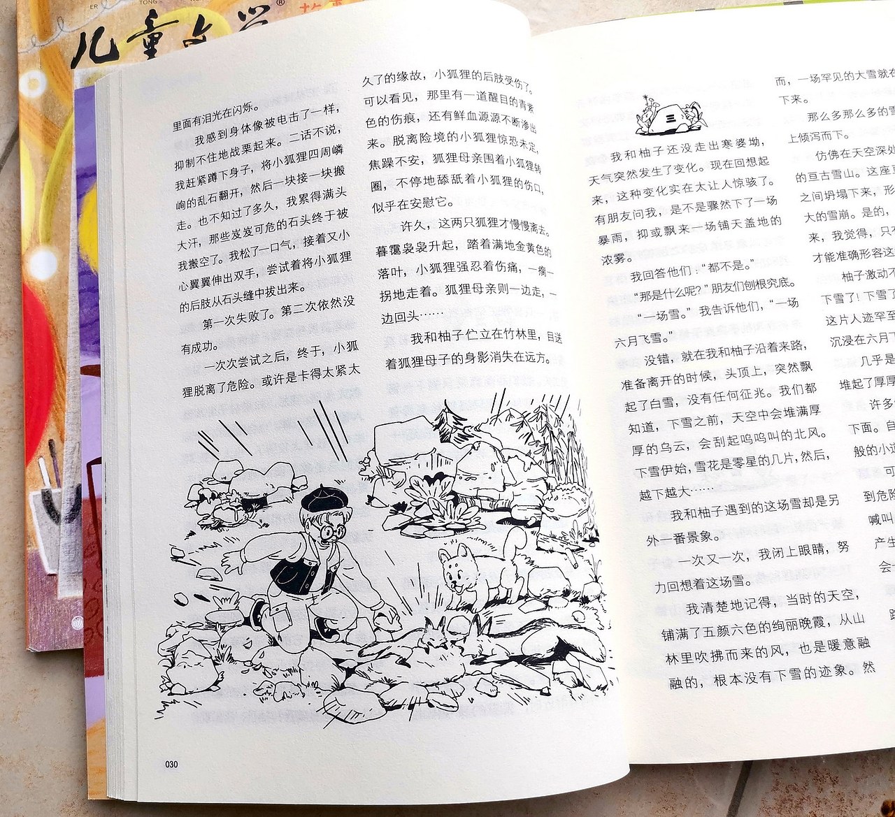 狐狸妈妈求救,画家(我)和柚子(物种:狗)救了小狐狸