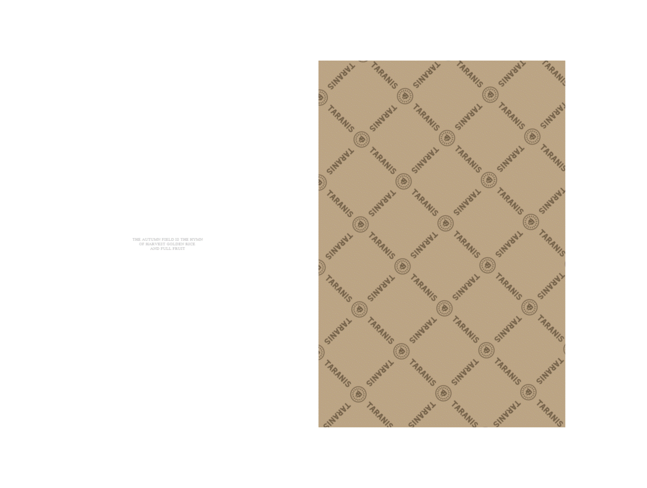 波点视觉x泰兰尼斯品牌秋季视觉升级