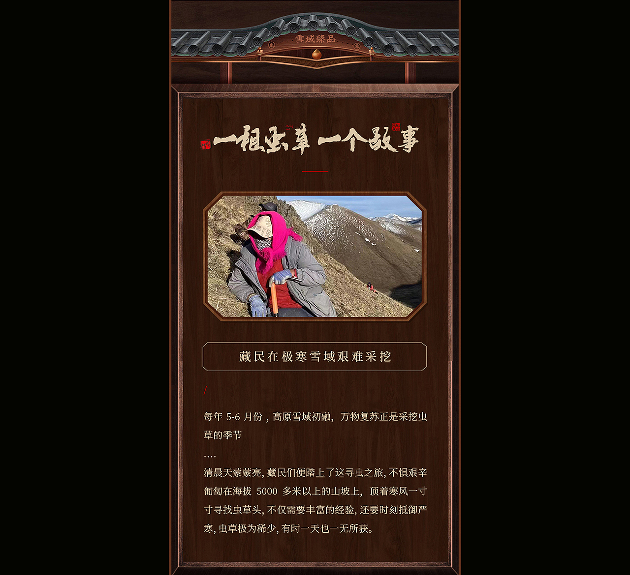 冬虫夏草详情页|虫草详情页|虫草|滋补品|滋补品详情页